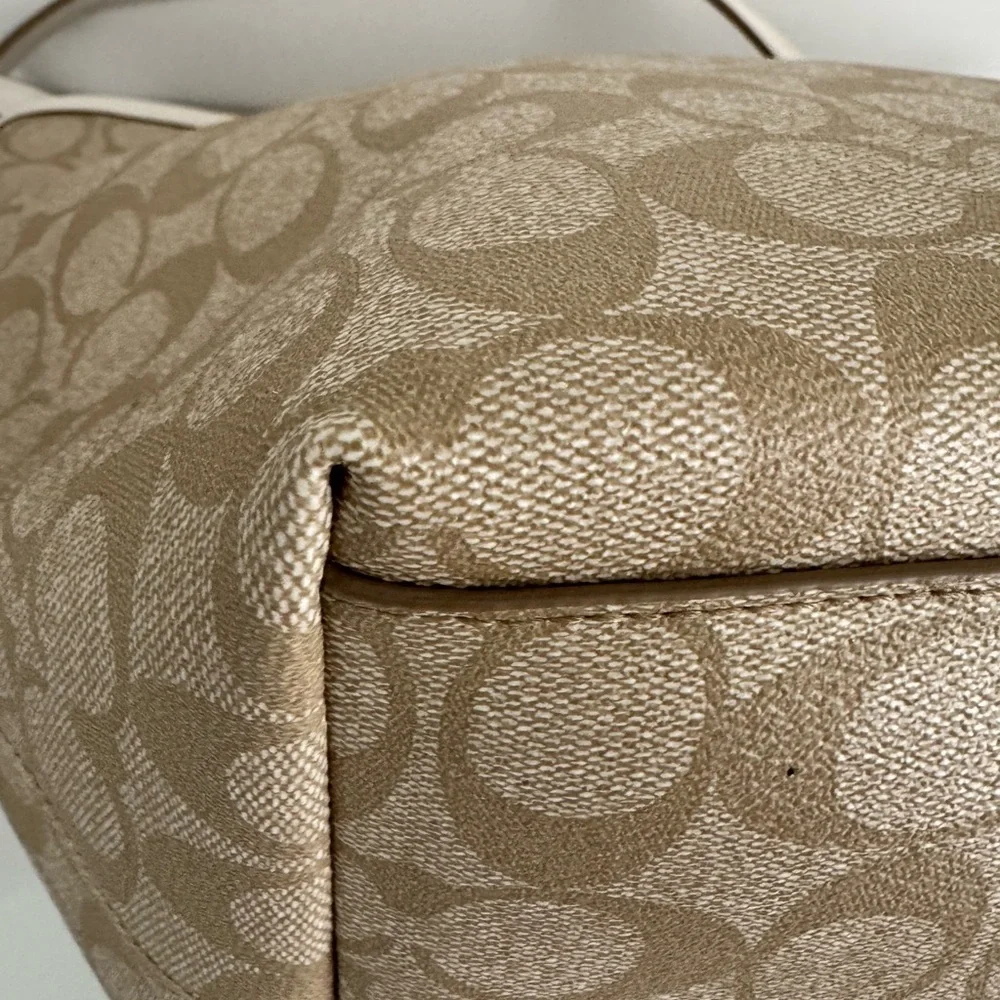 Coach signature street